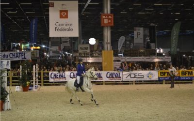 2014 : 8eme des championnats de France Indoor par équipe